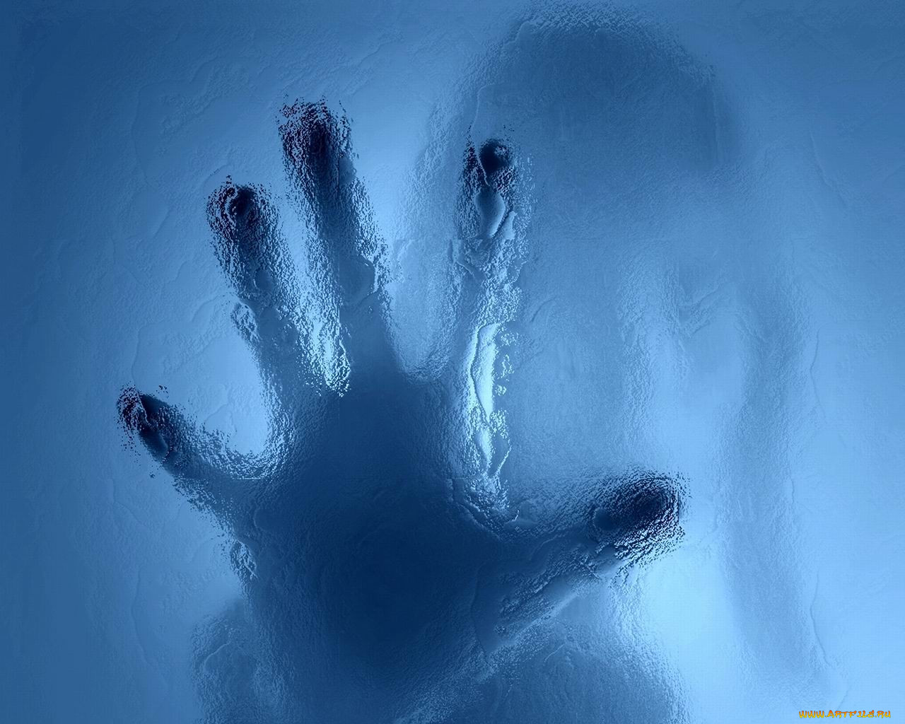 , 
